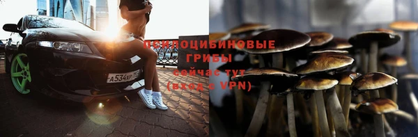 спиды Абаза