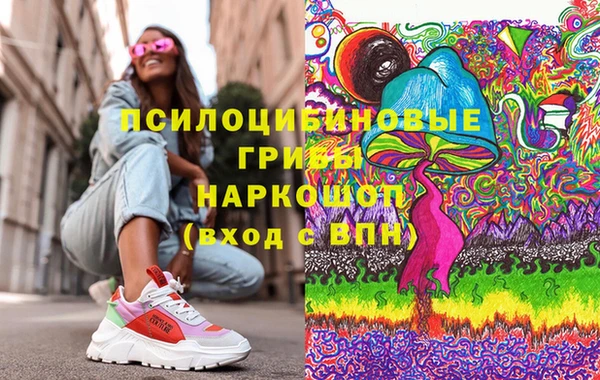 соль ск Алексин